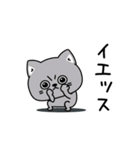 ねこ依存酒✨酒✨（個別スタンプ：17）