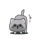 ねこ依存酒✨酒✨（個別スタンプ：29）