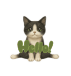 ハチワレと茶トラの日常（個別スタンプ：3）