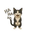 ハチワレと茶トラの日常（個別スタンプ：16）