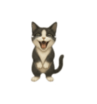 ハチワレと茶トラの日常（個別スタンプ：17）