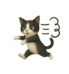 ハチワレと茶トラの日常（個別スタンプ：21）