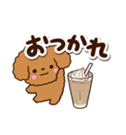 トイプードル【レッド】カフェ（個別スタンプ：6）