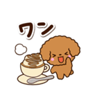 トイプードル【レッド】カフェ（個別スタンプ：7）