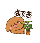 トイプードル【レッド】カフェ（個別スタンプ：13）