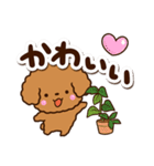 トイプードル【レッド】カフェ（個別スタンプ：16）