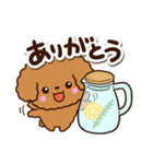 トイプードル【レッド】カフェ（個別スタンプ：17）