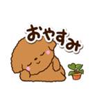 トイプードル【レッド】カフェ（個別スタンプ：32）