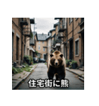 熊出没注意スタンプ（個別スタンプ：13）