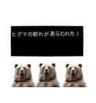 毎日使えるヒグマのスタンプ【熊・クマ】（個別スタンプ：2）