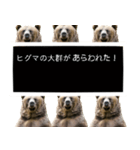 毎日使えるヒグマのスタンプ【熊・クマ】（個別スタンプ：3）