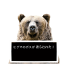 毎日使えるヒグマのスタンプ【熊・クマ】（個別スタンプ：4）