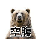 毎日使えるヒグマのスタンプ【熊・クマ】（個別スタンプ：6）