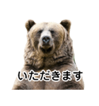 毎日使えるヒグマのスタンプ【熊・クマ】（個別スタンプ：7）