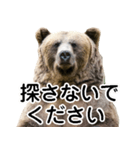 毎日使えるヒグマのスタンプ【熊・クマ】（個別スタンプ：15）