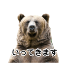 毎日使えるヒグマのスタンプ【熊・クマ】（個別スタンプ：16）