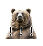 毎日使えるヒグマのスタンプ【熊・クマ】（個別スタンプ：27）