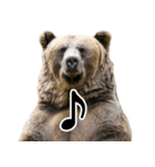 毎日使えるヒグマのスタンプ【熊・クマ】（個別スタンプ：29）