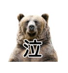 毎日使えるヒグマのスタンプ【熊・クマ】（個別スタンプ：30）