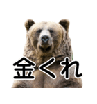 毎日使えるヒグマのスタンプ【熊・クマ】（個別スタンプ：33）
