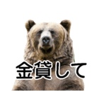 毎日使えるヒグマのスタンプ【熊・クマ】（個別スタンプ：34）