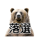 毎日使えるヒグマのスタンプ【熊・クマ】（個別スタンプ：36）