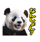 徳島阿波弁☆パンダ（個別スタンプ：2）