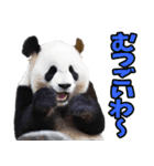 徳島阿波弁☆パンダ（個別スタンプ：9）