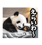 徳島阿波弁☆パンダ（個別スタンプ：15）
