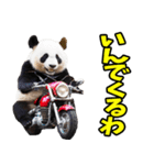 徳島阿波弁☆パンダ（個別スタンプ：18）