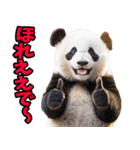徳島阿波弁☆パンダ（個別スタンプ：21）