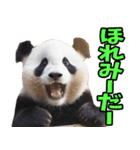 徳島阿波弁☆パンダ（個別スタンプ：24）