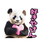 徳島阿波弁☆パンダ（個別スタンプ：27）