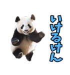 徳島阿波弁☆パンダ（個別スタンプ：29）