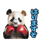 徳島阿波弁☆パンダ（個別スタンプ：38）