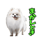 香川・讃岐弁☆わんこ（個別スタンプ：10）