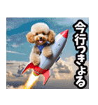 香川・讃岐弁☆わんこ（個別スタンプ：13）