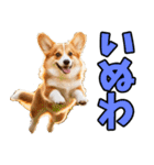 香川・讃岐弁☆わんこ（個別スタンプ：15）