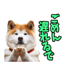 香川・讃岐弁☆わんこ（個別スタンプ：16）