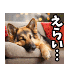香川・讃岐弁☆わんこ（個別スタンプ：20）