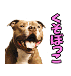 香川・讃岐弁☆わんこ（個別スタンプ：23）