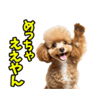 香川・讃岐弁☆わんこ（個別スタンプ：28）