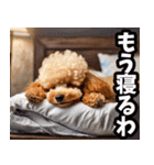 香川・讃岐弁☆わんこ（個別スタンプ：40）