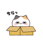 動く★ダルにゃん！（個別スタンプ：13）