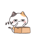 動く★ダルにゃん！（個別スタンプ：17）