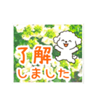 動く☆大人やさしいトイプードルと野の花（個別スタンプ：6）