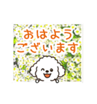 動く☆大人やさしいトイプードルと野の花（個別スタンプ：7）