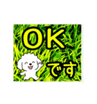 動く☆大人やさしいトイプードルと野の花（個別スタンプ：15）