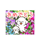 動く☆大人やさしいトイプードルと野の花（個別スタンプ：18）
