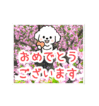 動く☆大人やさしいトイプードルと野の花（個別スタンプ：19）